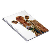 KNUFFELKOE NOTITIEBOEK (Rechterzijde)