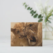 Knuffelleeuwen Briefkaart (Staand voorkant)