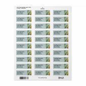Knuffelpapegaaien Tropical Bird Natuur Etiket (Full Sheet)