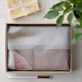 knuffelpapier voor kat tissuepapier (Geschenk)