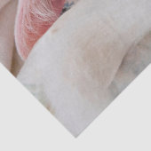 knuffelpapier voor kat tissuepapier (Detail)