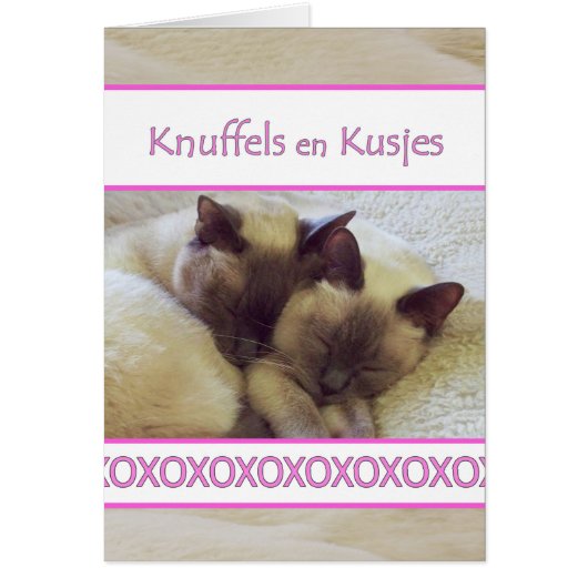 Knuffels en Kusjes, Hug en Kiss in het Nederlands (Voorkant)