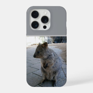 "Knuffels in Australië: Een Knuffelige Grijze Quok iPhone 15 Pro Case