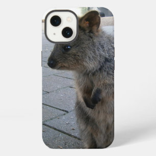 "Knuffels in Australië: Een Schattige Grijze Quokk iPhone 13 Hoesje