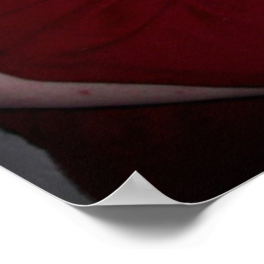 knuffels poster (Hoek)