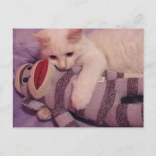 knuffels voor je briefkaart