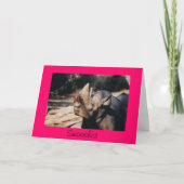 Knuffelt Kaart (Voorkant)