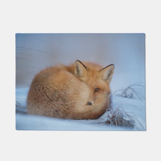 Knuffelvos-deurmat Deurmat (Voorkant)