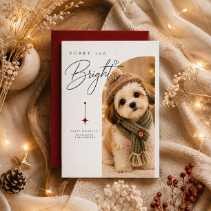Knuffig & Helder Knus Gebreid Puppy Kerst Portret Feestdagenkaart