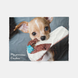 Knuffige Chihuahua fleece deken