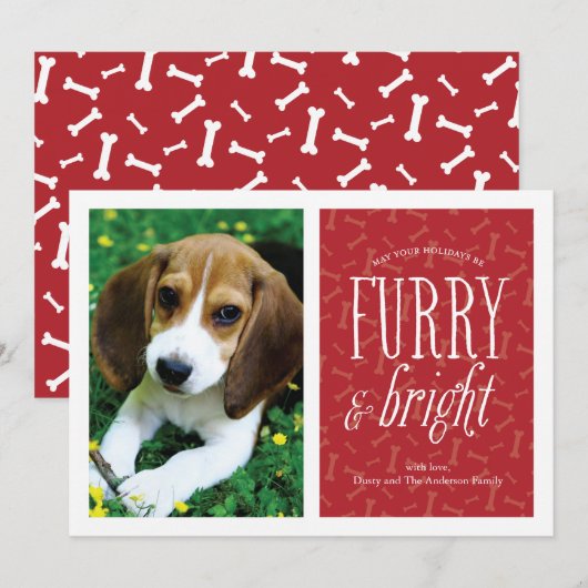 Knuffige en heldere huisdieren fotokaart feestdagenkaart (Voorkant / Achterkant)