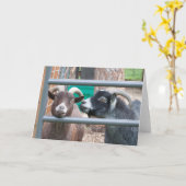Knuffige geiten! kaart (Gele Bloem)
