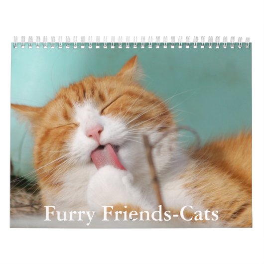 Knuffige Harige Vrienden Kat Kalender (Hoes)
