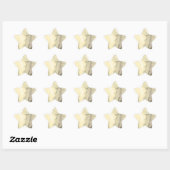 Knuffige ijsbeer ster sticker (Vel)