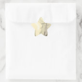 Knuffige ijsbeer ster sticker (Tas)