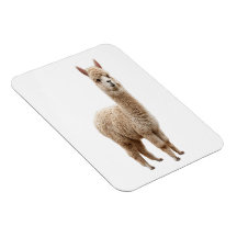 Knuffige Realistische Fluffy Alpaca Foto Flexibele