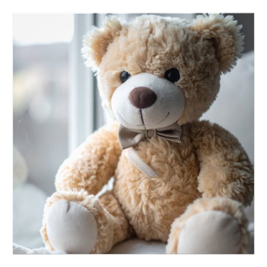Knuffige Zittende Teddibeer Foto Afdruk (Voorkant)