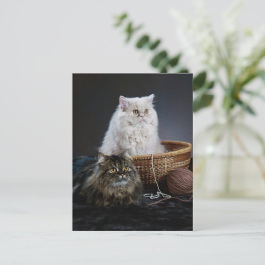 knuppel grappige verjaardag Perzische kat Briefkaart (Staand voorkant)