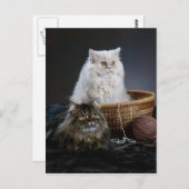 knuppel grappige verjaardag Perzische kat Briefkaart (Voorkant / Achterkant)