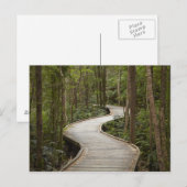 Knuppelpad naar Nelson Falls, Franklin - Gordon Briefkaart (Voorkant / Achterkant)