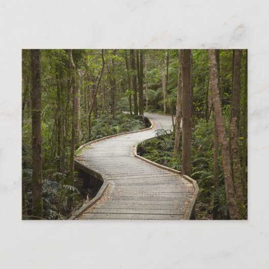 Knuppelpad naar Nelson Falls, Franklin - Gordon Briefkaart (Voorkant)