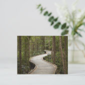 Knuppelpad naar Nelson Falls, Franklin - Gordon Briefkaart (Staand voorkant)