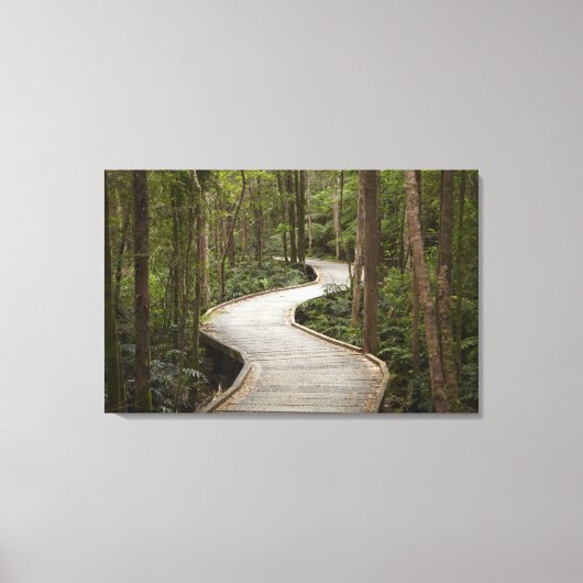 Knuppelpad naar Nelson Falls, Franklin - Gordon Canvas Afdruk (Voorkant)
