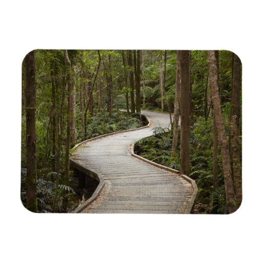 Knuppelpad naar Nelson Falls, Franklin - Gordon Magneet (Horizontaal)