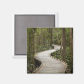 Knuppelpad naar Nelson Falls, Franklin - Gordon Magneet (Voorkant / Achterkant)