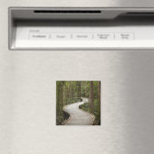 Knuppelpad naar Nelson Falls, Franklin - Gordon Magneet (Insitu (Vaatwasser))