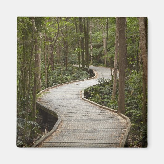 Knuppelpad naar Nelson Falls, Franklin - Gordon Magneet (Voorkant)