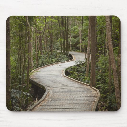 Knuppelpad naar Nelson Falls, Franklin - Gordon Muismat (Voorkant)