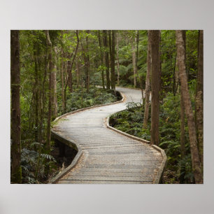 Knuppelpad naar Nelson Falls, Franklin - Gordon Poster