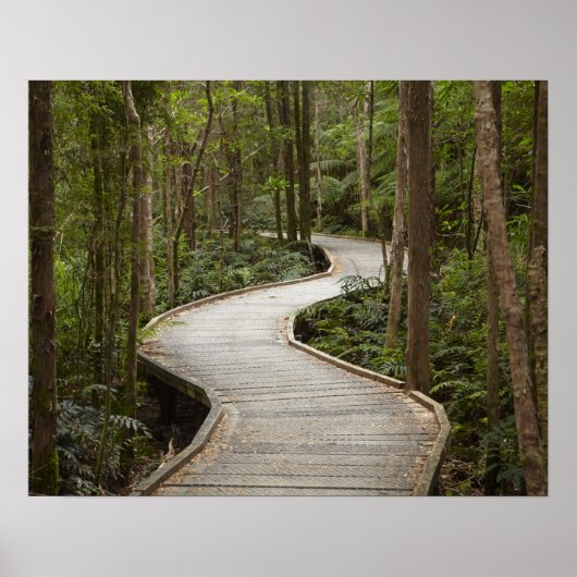 Knuppelpad naar Nelson Falls, Franklin - Gordon Poster (Voorkant)