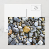 knuppels briefkaart (Voorkant / Achterkant)