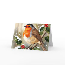 Knus Robin Kerst Waterverf Illustratie