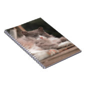 Knus slapende pluizige kat notitieboek (Rechterzijde)