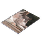 Knus slapende pluizige kat notitieboek (Linkerzijde)