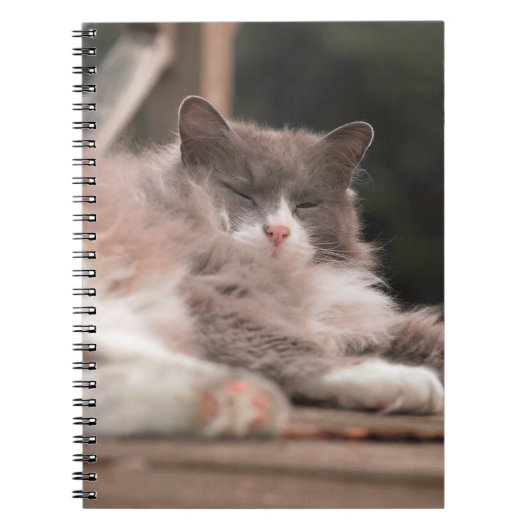 Knus slapende pluizige kat notitieboek (Voorkant)