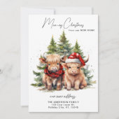 Knusse Highland Koe Nieuwe Adres Prettig Kerstfees Feestdagenkaart (Voorkant)