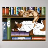 Knusse Slapende Katten Boekenplank Illustratie Sch Poster (Voorkant)