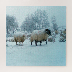 Knusse Winter Schaapskudde Zachte Sneeuwval Landel Legpuzzel
