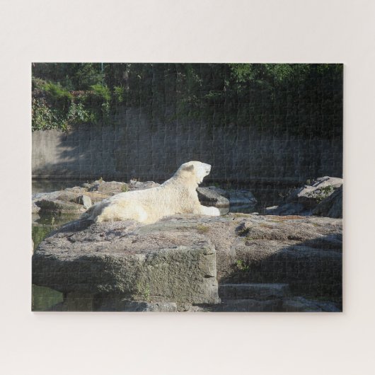 Knut het Polaire Beer van de Berlijnse dierentuin Legpuzzel (Horizontaal)