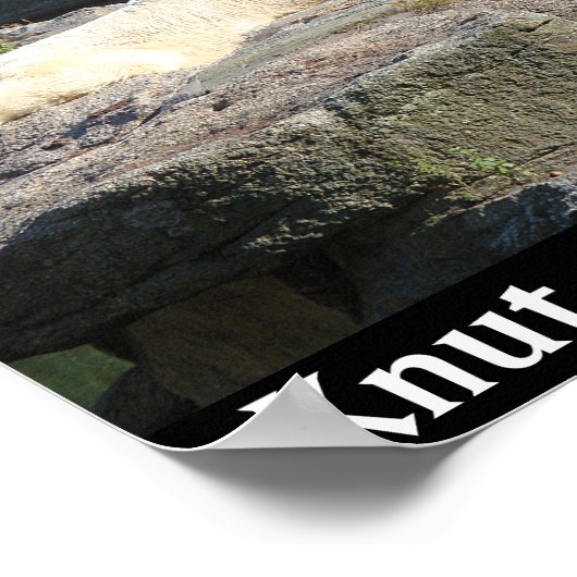 Knut het Polaire Beer van de Berlijnse dierentuin Poster (Hoek)