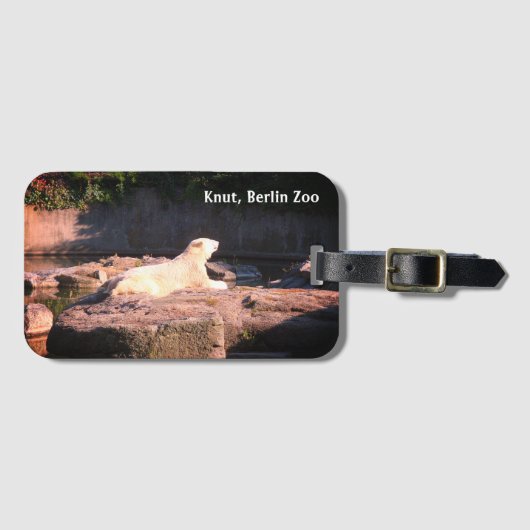 Knut het Polaire Beer van de Berlijnse Zoo Einstei Bagagelabel (Voorkant (horizontaal))