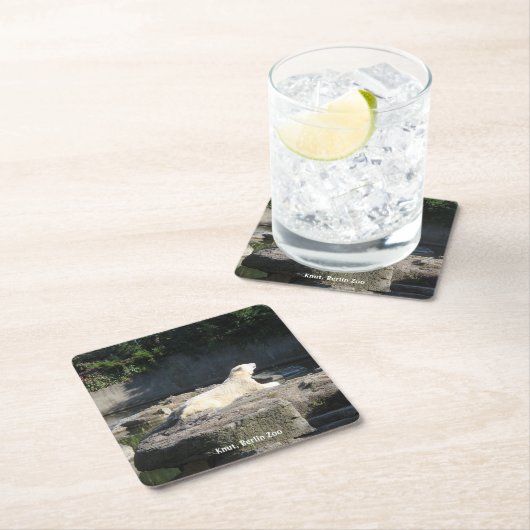 Knut, Polar Beer Berlin Zoo Kartonnen Onderzetters (Insitu)