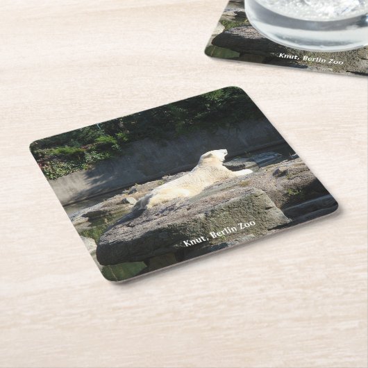 Knut, Polar Beer Berlin Zoo Kartonnen Onderzetters (Schuin)