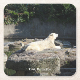 Knut, Polar Beer Berlin Zoo Kartonnen Onderzetters