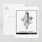 Knutmigrata-vereenvoudiging. Briefkaart (Voorkant / Achterkant)