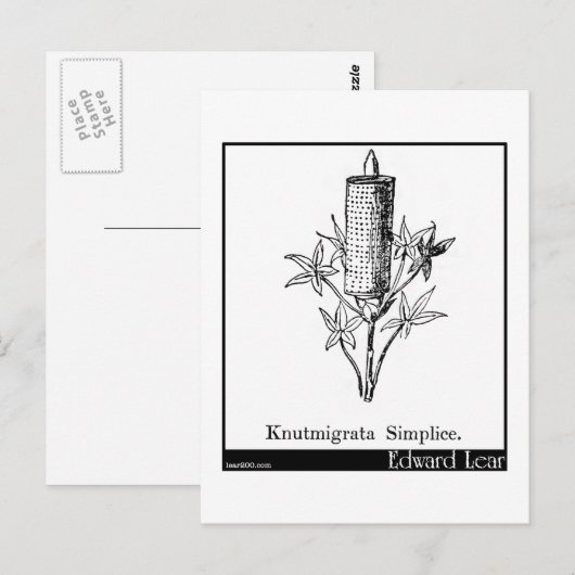 Knutmigrata-vereenvoudiging. Briefkaart (Voorkant / Achterkant)